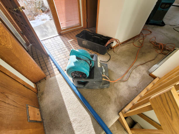 Professional Water damage restoration in Gardendale, AL